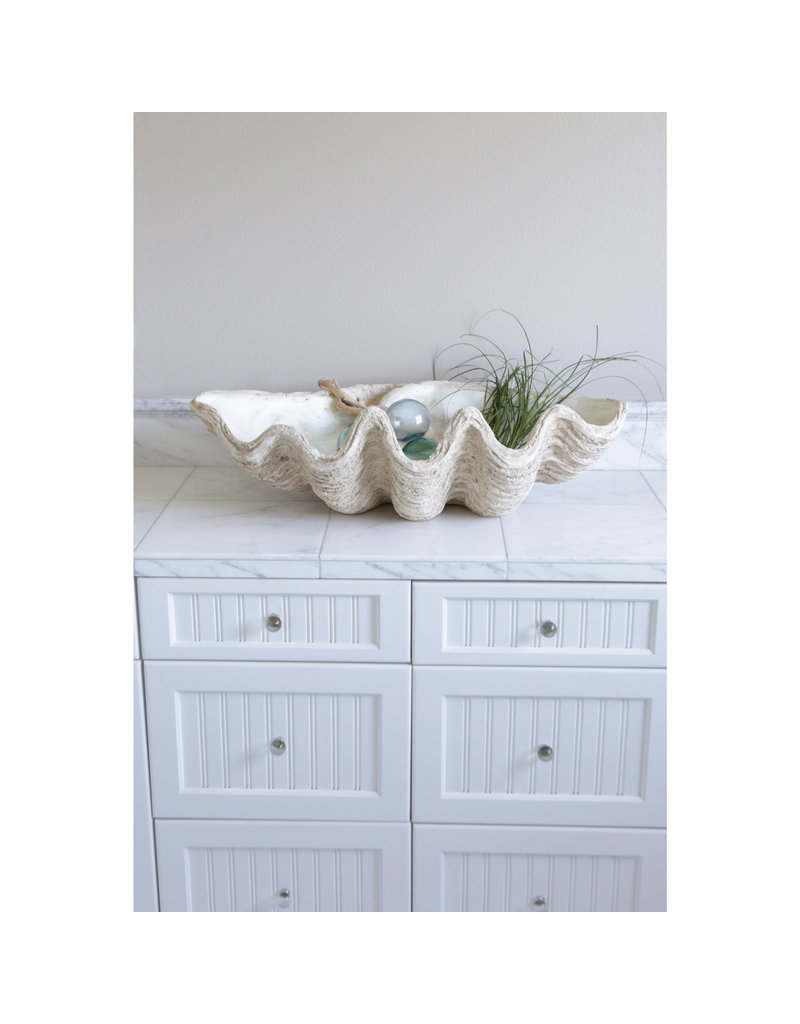 Magnesia Seashell Clam Décor