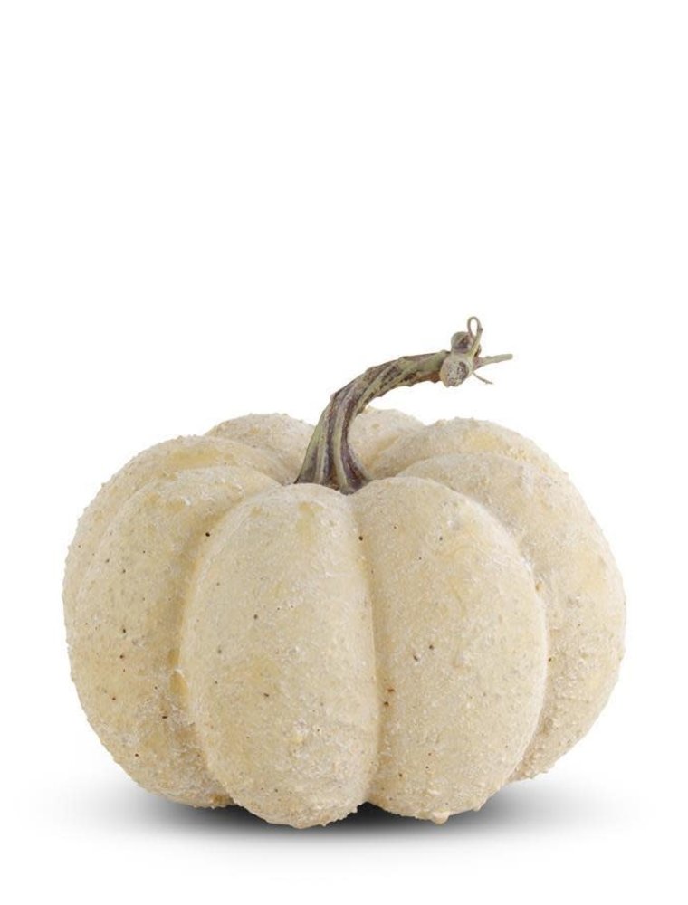 Pumpkin 6.25" Cream Whitewashed Textured Pumpkin