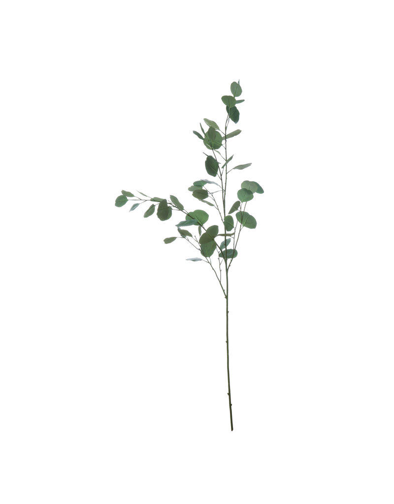 Bloom Faux Eucalyptus Branch