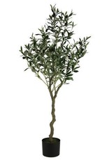 72" Potted Olive Tree