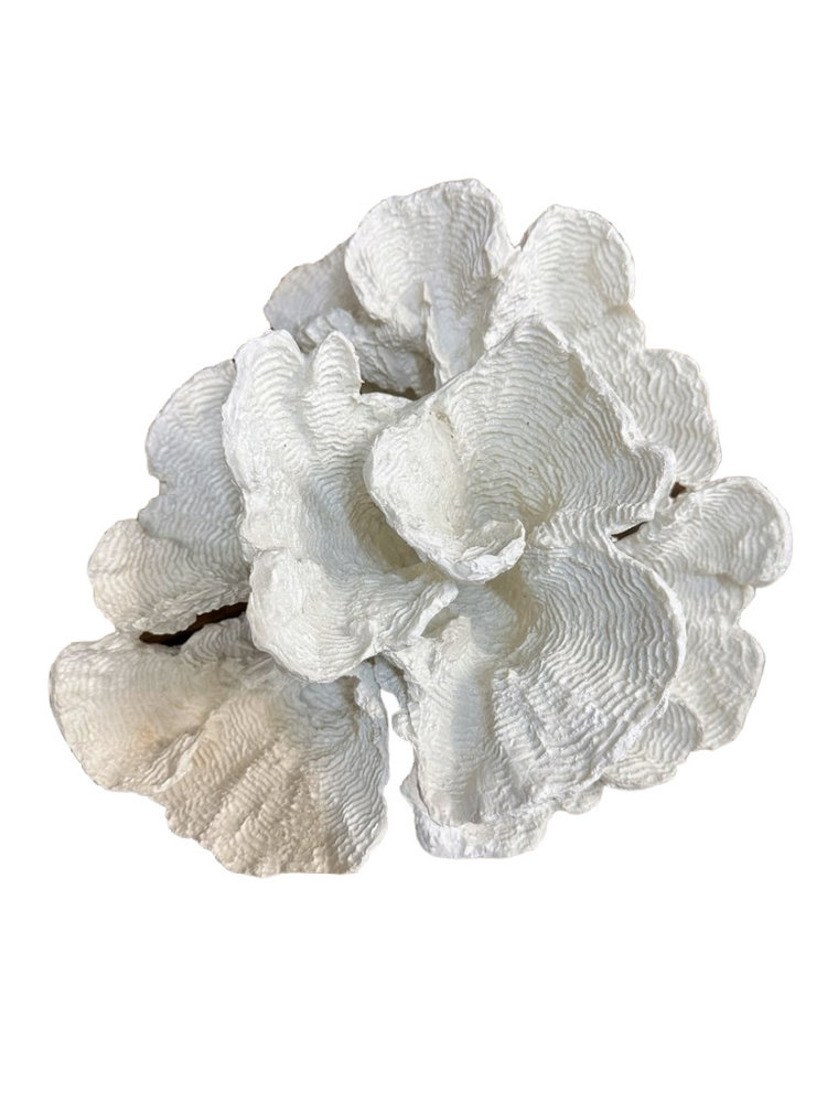 Flower Faux Coral