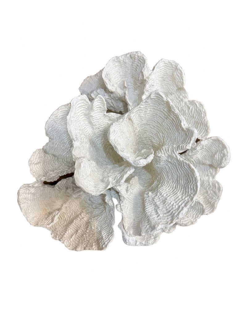 Flower Faux Coral