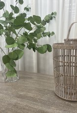 Lantern