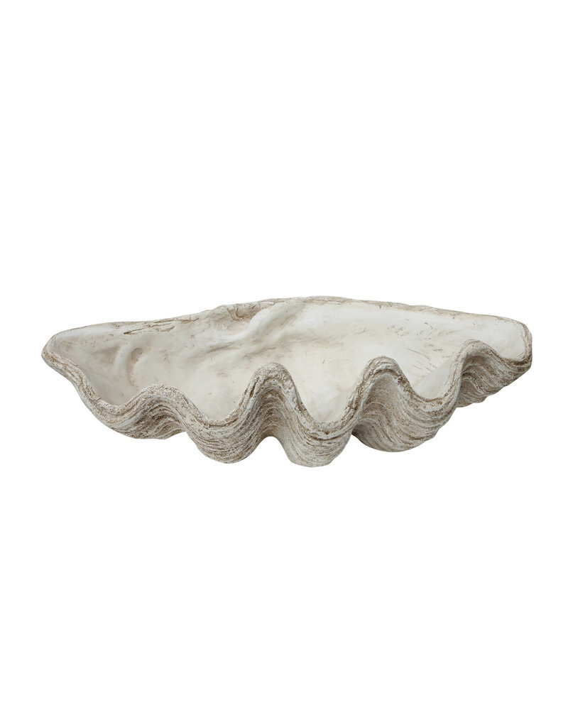 Magnesia Seashell Clam Décor