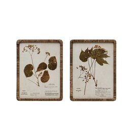 Sonoma Rattan Wrapped Botanical Print, 2 Styles