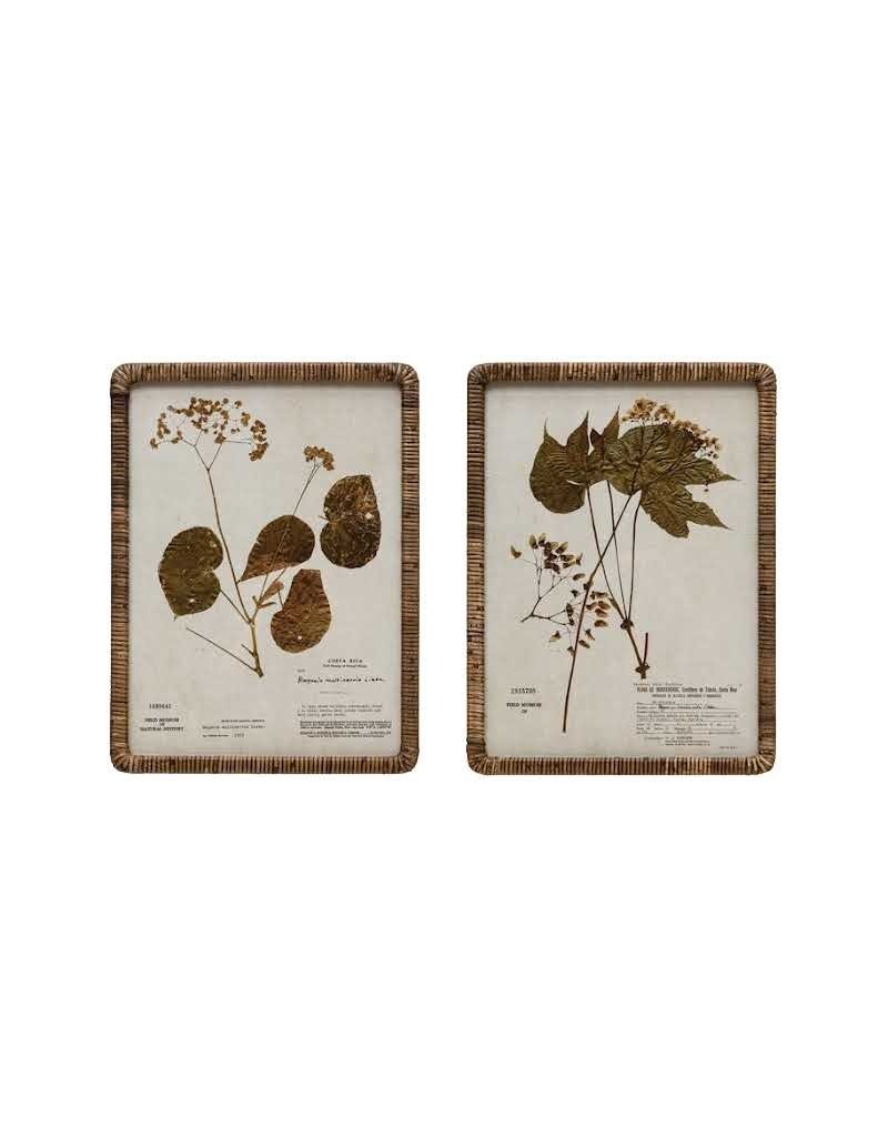 Sonoma Rattan Wrapped Botanical Print, 2 Styles