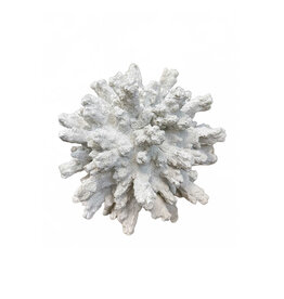 Orb Faux Coral