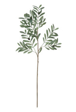 Bloom Faux Olive Branch