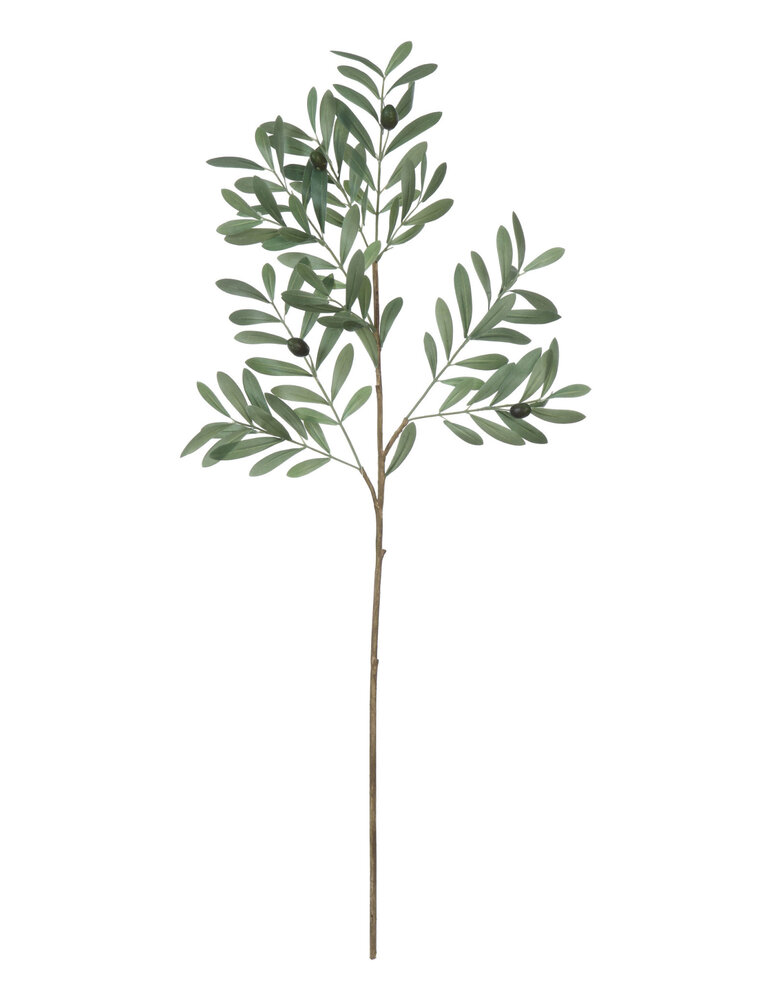 Bloom Faux Olive Branch