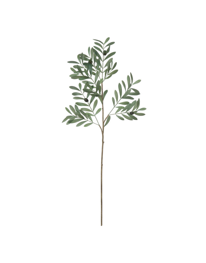 Bloom Faux Olive Branch