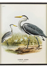 Waterbirds Common Heron (395), 22" x 28"