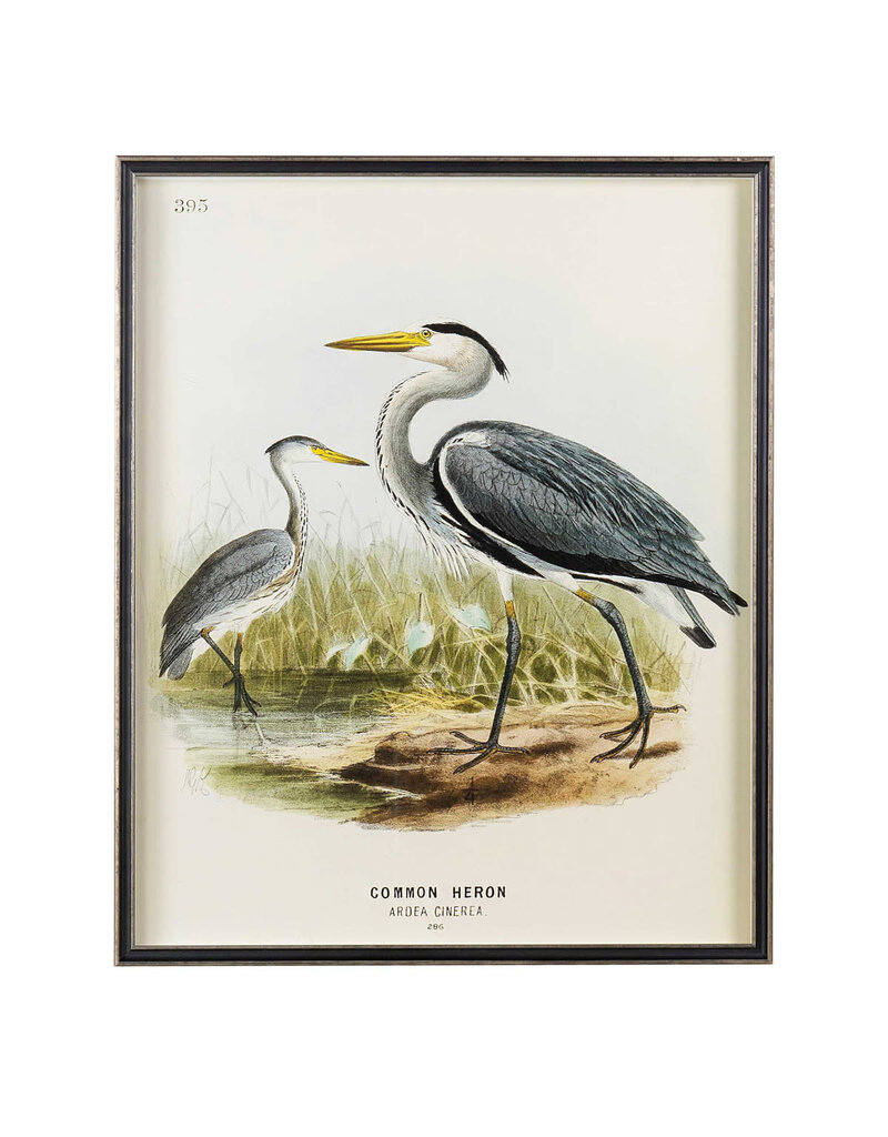 Waterbirds Common Heron (395), 22" x 28"