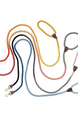 Bits & Bobs 6' Braided Rope & Leather Dog Leash, 4 Colors, EACH