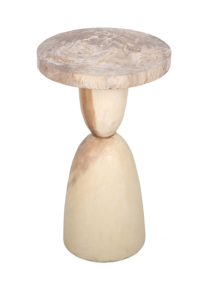 Organic Natural Petrified Wood Accent Table