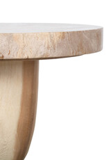 Organic Natural Petrified Wood Accent Table
