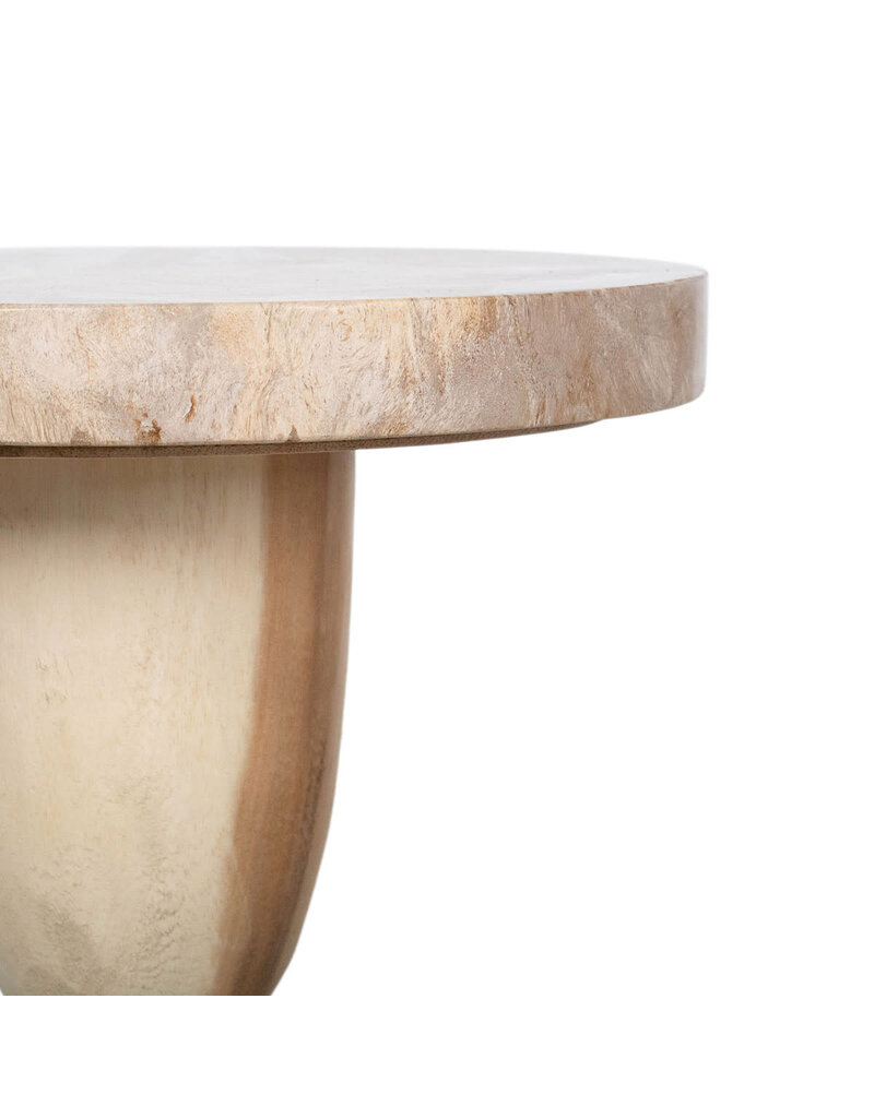 Organic Natural Petrified Wood Accent Table
