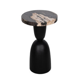 Organic Black Petrified Wood Accent Table