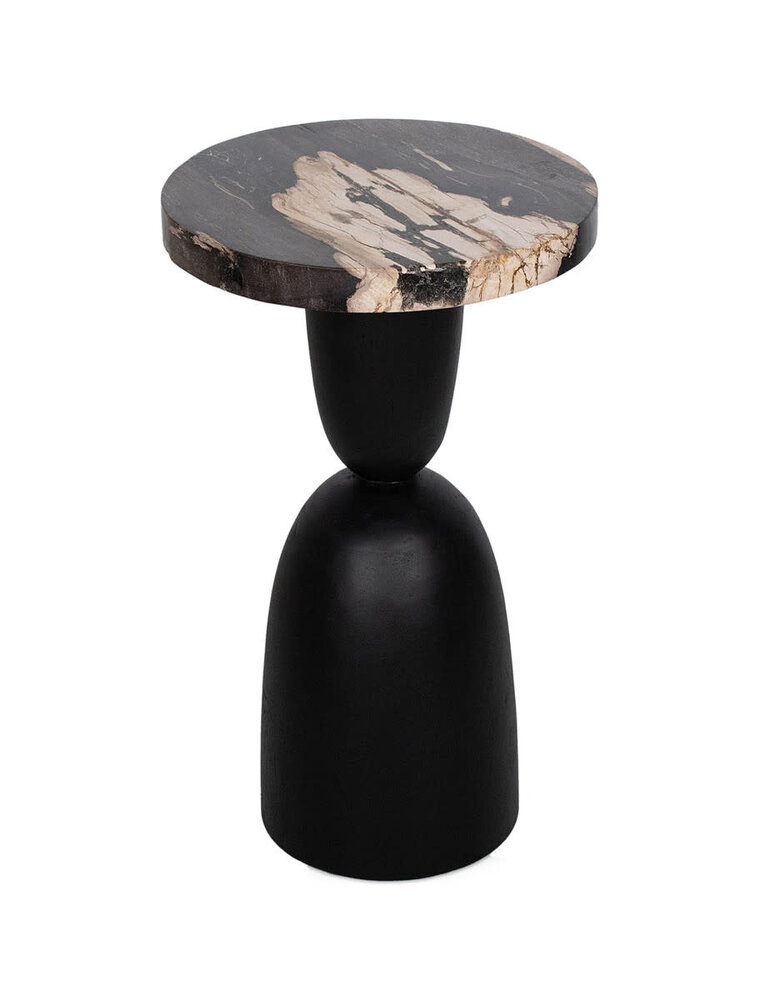 Organic Black Petrified Wood Accent Table