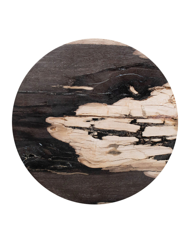 Organic Black Petrified Wood Accent Table