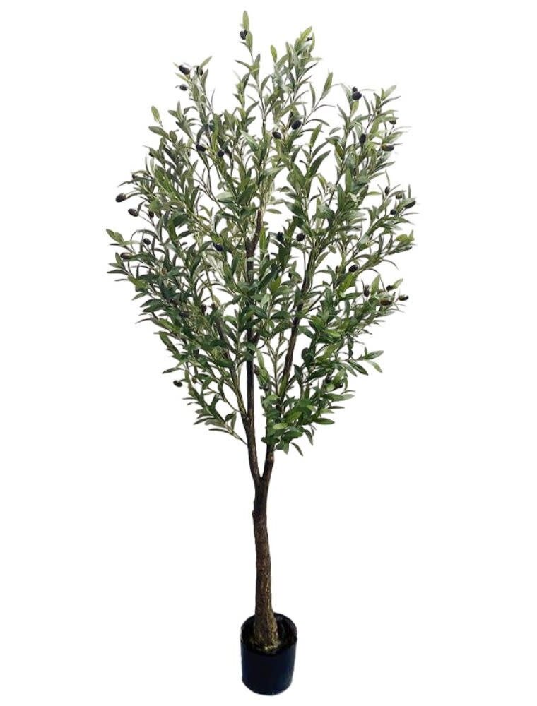 Jes & Gray Olive Tree 71"