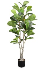 Jes & Gray Fiddle Leaf Fig Tree 67"