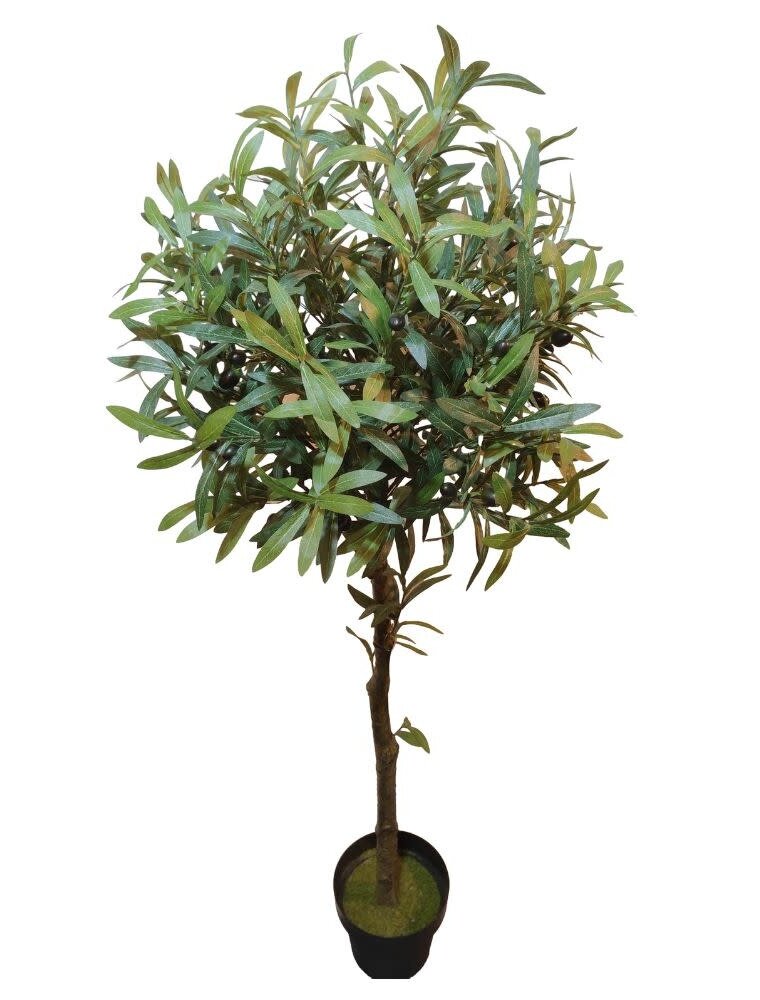 Jes & Gray Olive Tree 55"