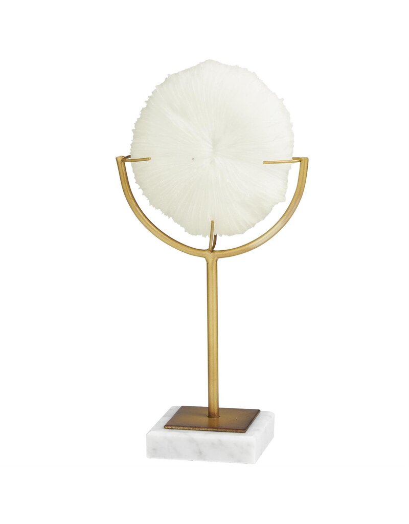 Small Coral Sculpture on Stand with Marble Base