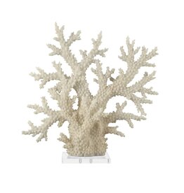 Acrylic Coral