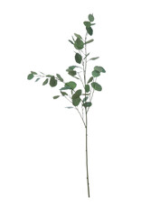 Bloom Faix Eucalyptus Branch