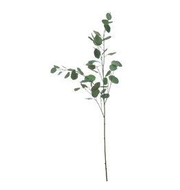 Bloom Faix Eucalyptus Branch