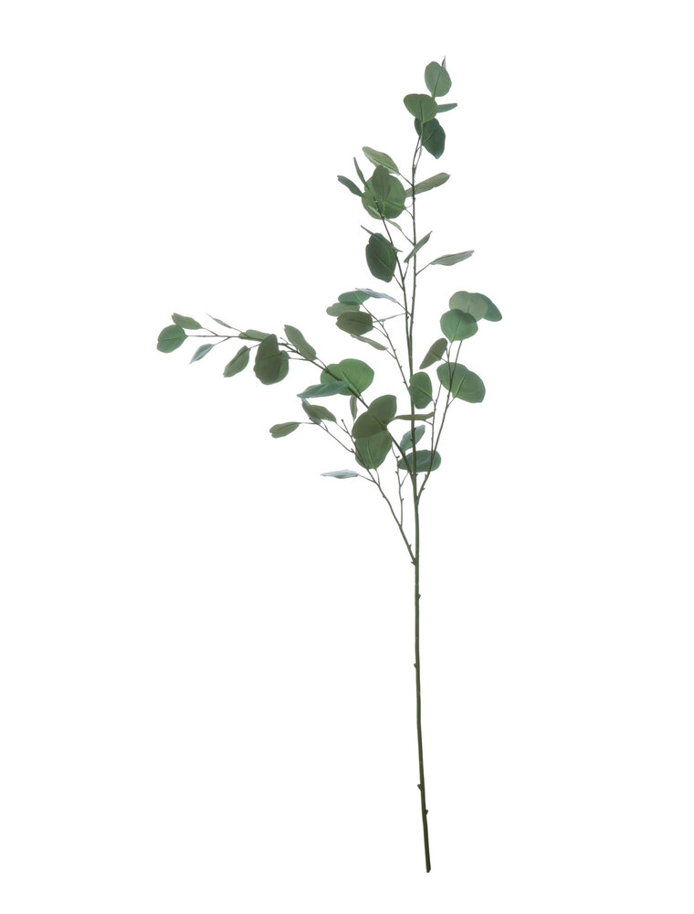 Bloom Faix Eucalyptus Branch