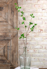 Small Green Leaf Stem