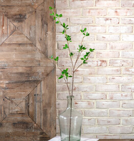 Small Green Leaf Stem
