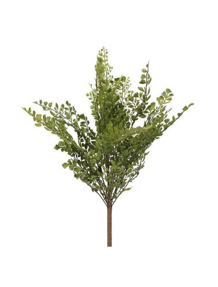 AB Floral 18"L Maiden Fern Bush