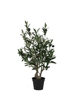 26" Potted Olive Tree