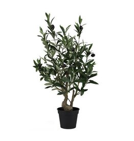 26" Potted Olive Tree