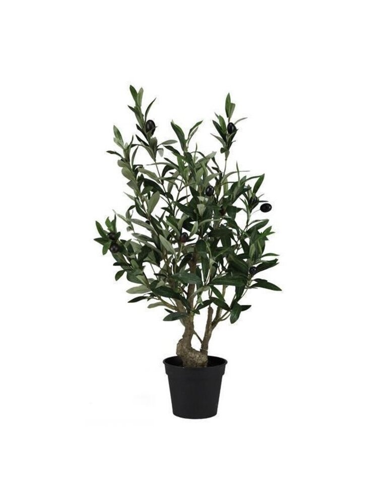 26" Potted Olive Tree