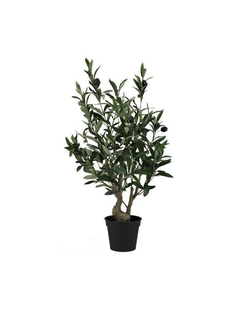 26" Potted Olive Tree