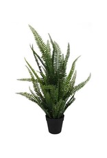 AB Floral 30"H Potted Fern