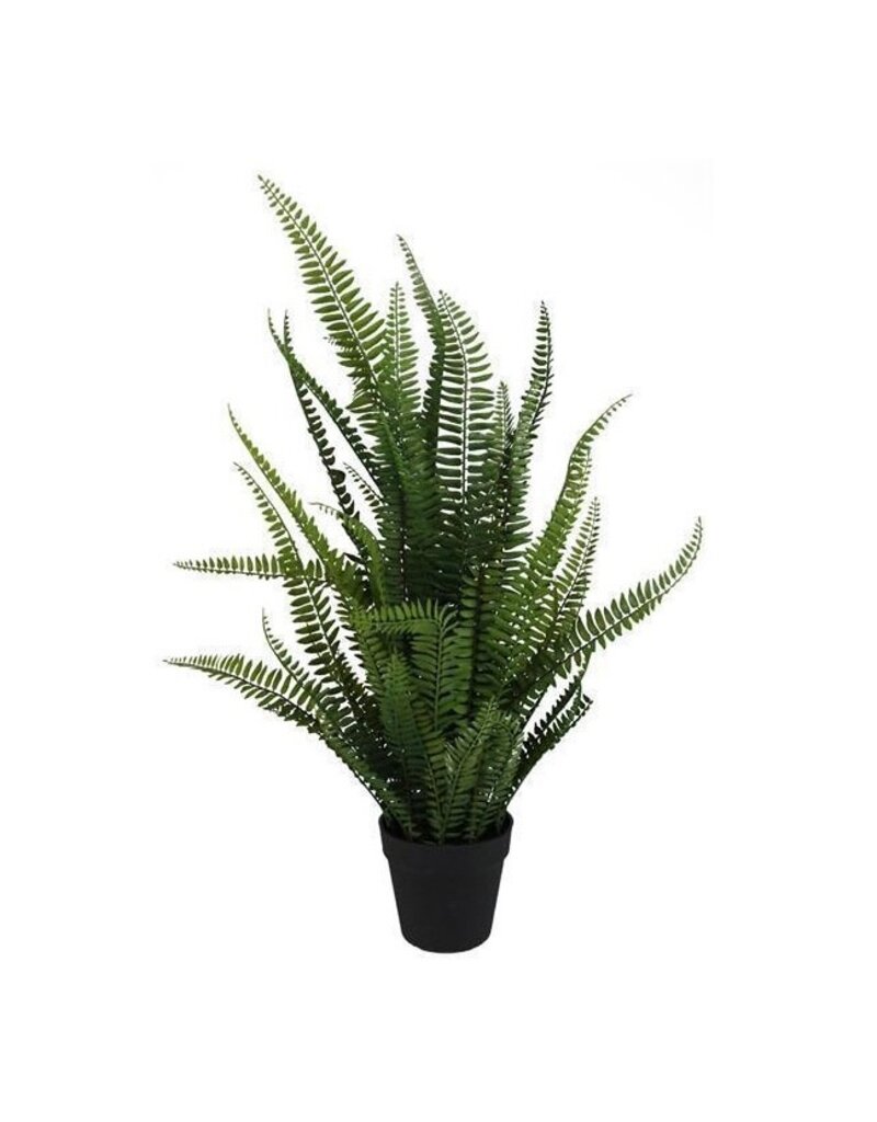 AB Floral 30"H Potted Fern