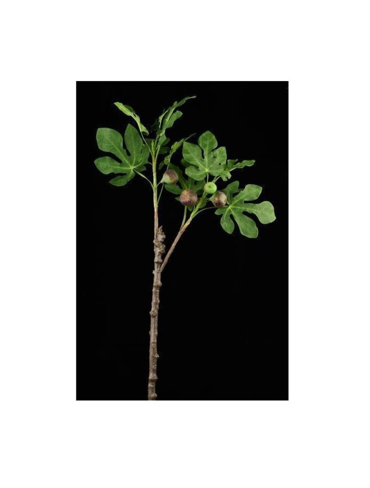 AB Floral 36" Fig Tree Branch w/Figs