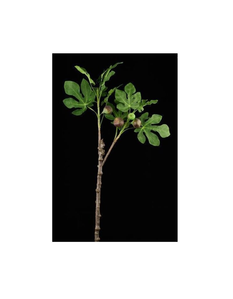 AB Floral 36" Fig Tree Branch w/Figs