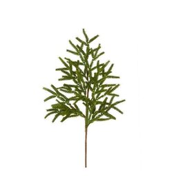 AB Floral 27" Norfolk Island Pine Spray