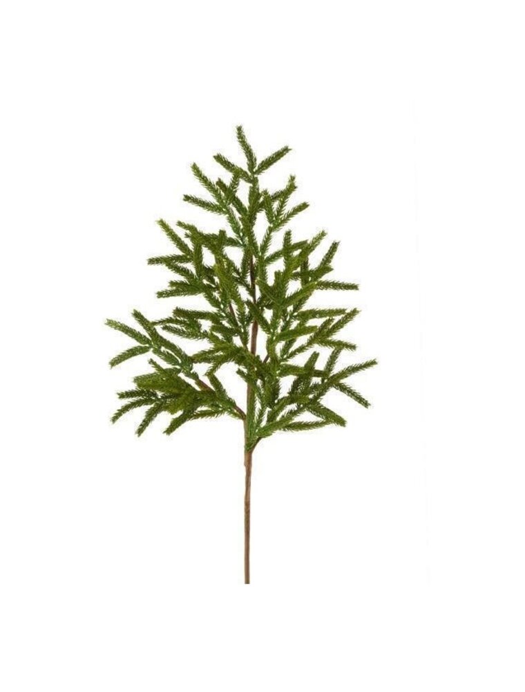 AB Floral 27" Norfolk Island Pine Spray