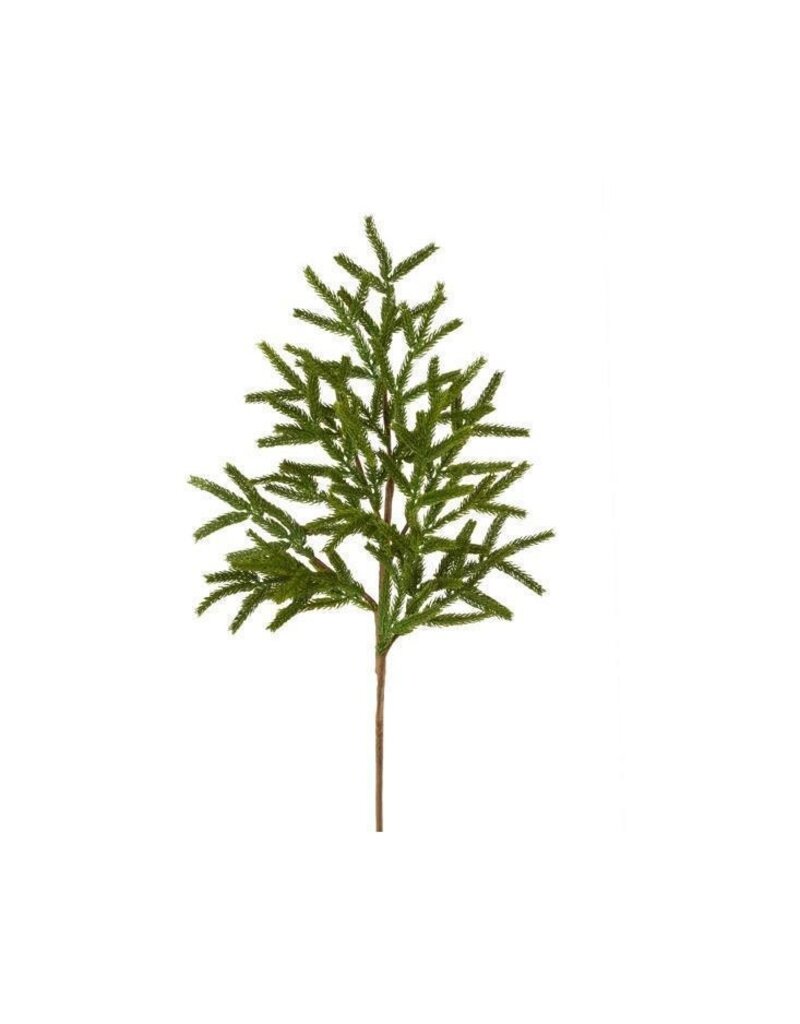 AB Floral 27" Norfolk Island Pine Spray