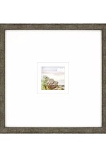 Paragon Petite Placid A
