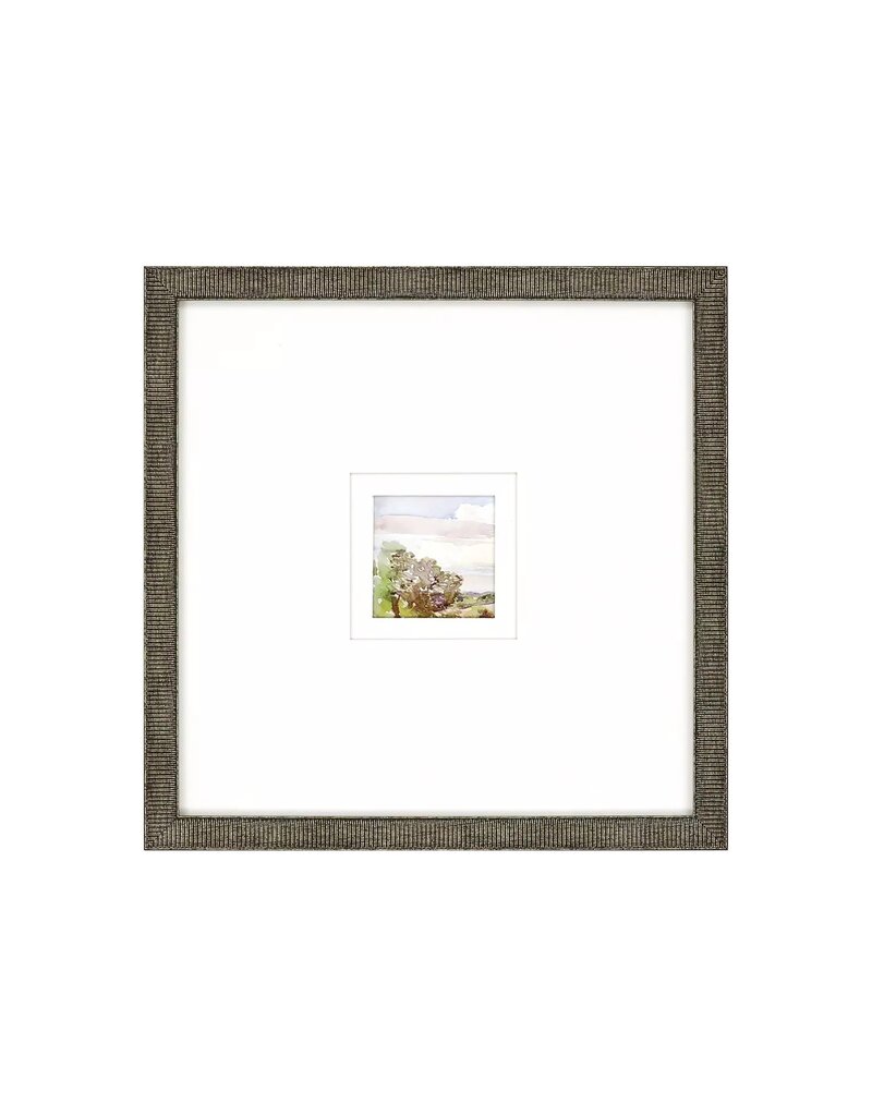 Paragon Petite Placid A
