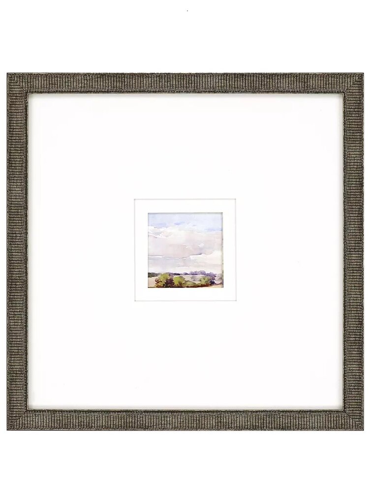 Paragon Petite Placid B