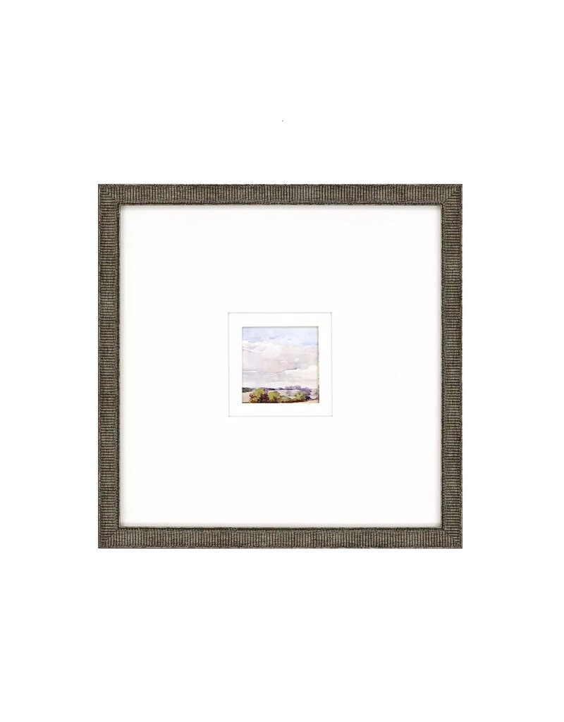 Paragon Petite Placid B