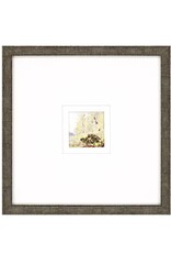 Paragon Petite Placid C